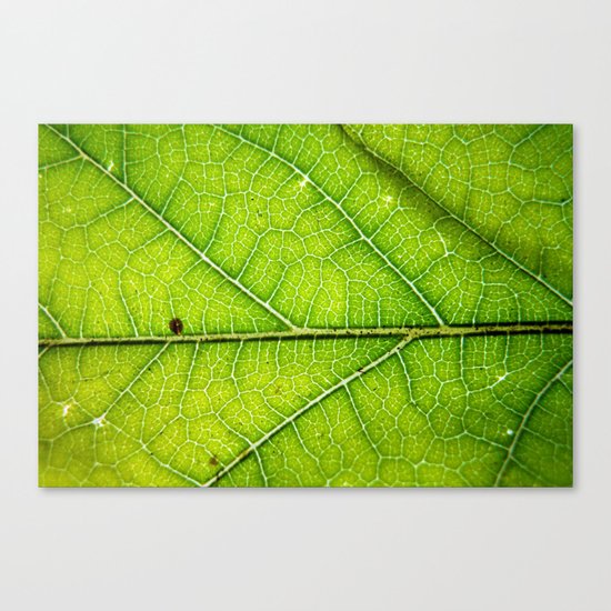 Macro Leaf no 9 Canvas Print