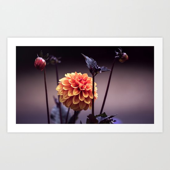 Treasure of Nature V Art Print