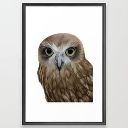 Owl Portrait Framed Art Print