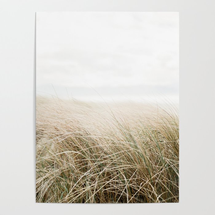 Dune grass | Ireland travel photogragraphy print | At the beach Poster