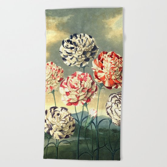 Carnations : New Illustration Of The Sexual System Beach Towel