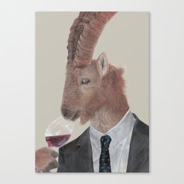 Italian Ibex Canvas Print