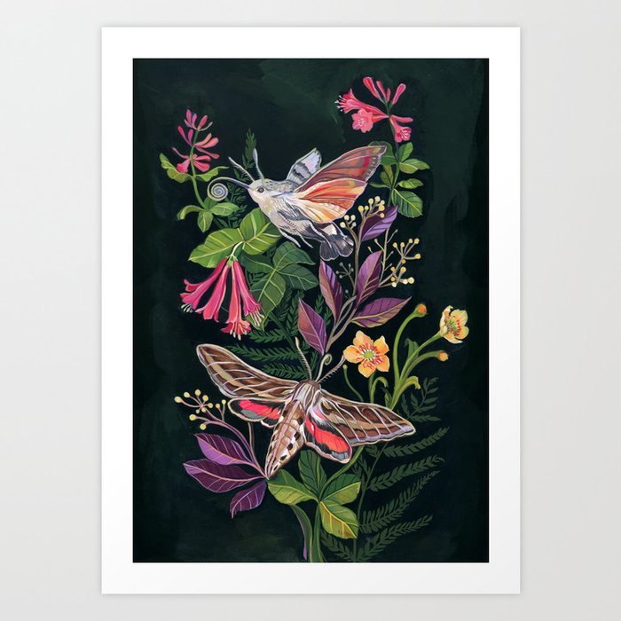 Hummingbird Moth Art Print