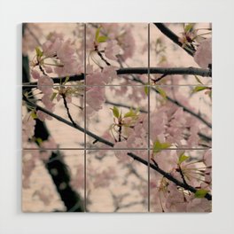Dreamy Cherry Blossoms Wood Wall Art