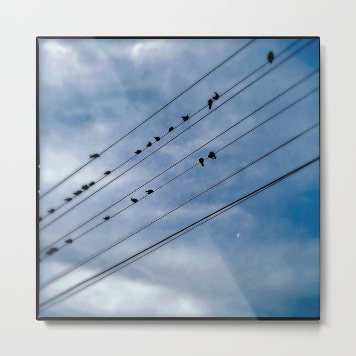 On the Wire Metal Print