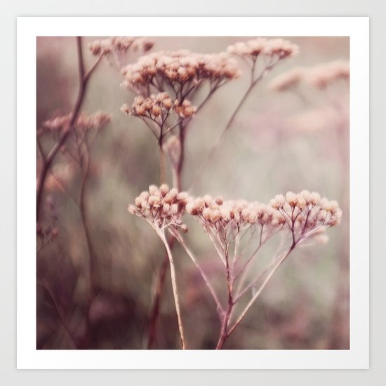 Pink Art Print