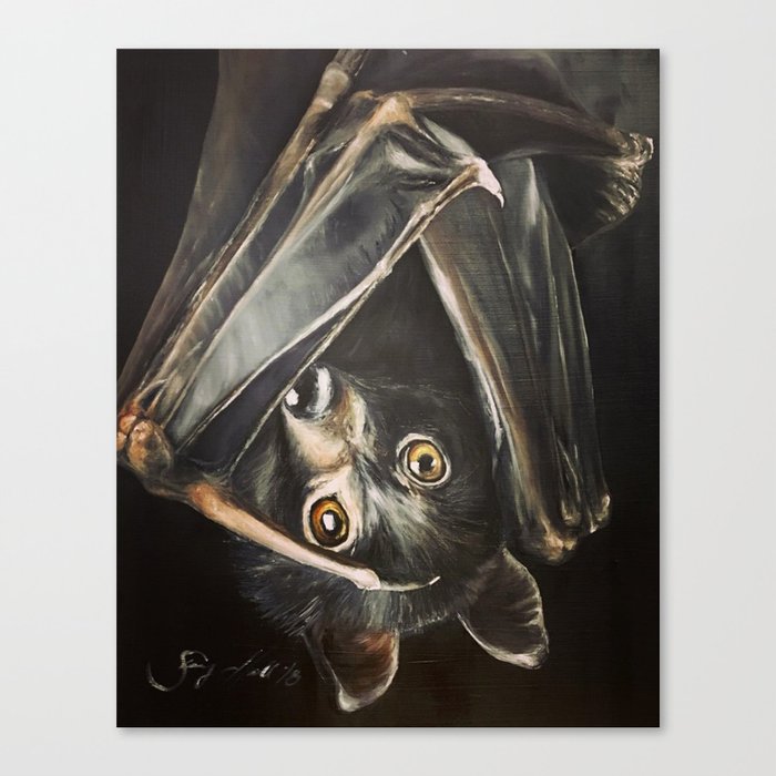 Bat Canvas Print