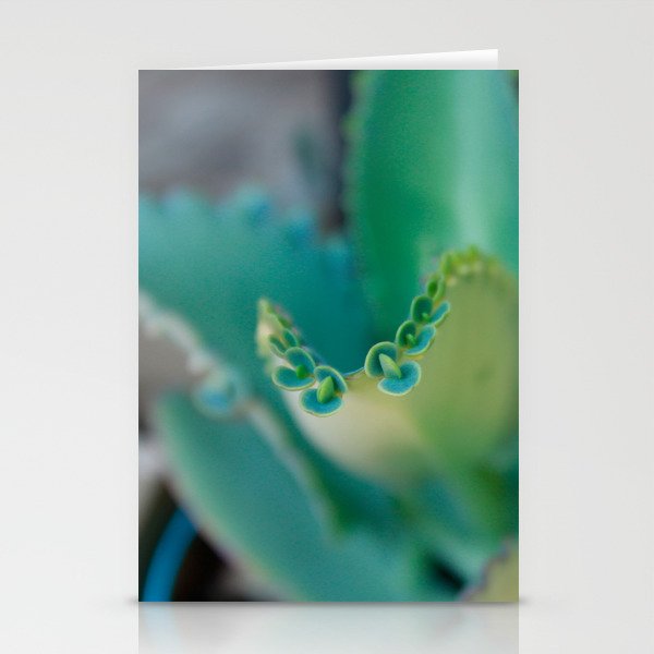 Plants Stationery Cards