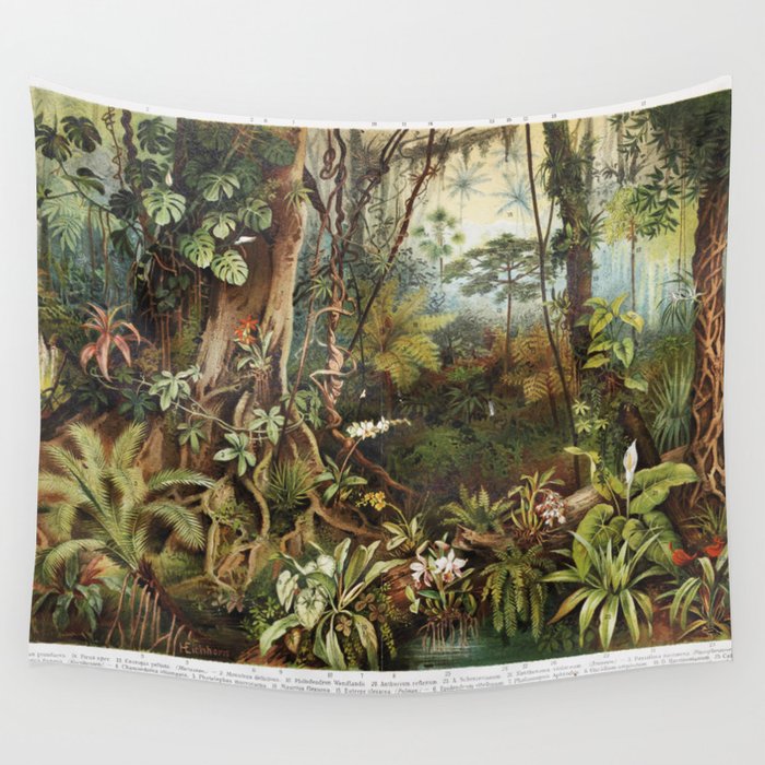 Vintage drawing of tropical forest plants from the beginning of 20th century period - Picture from Meyers Lexicon books collection (written in German language) published in 1908, Germany.  Wall Tapestry