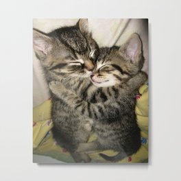 Enfold Metal Print | Fluffycats, Cutekittens, Beautiful, Sleep, Animal, Nature, Photo, Embrace, Cuddly, Children 