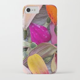 Colorful Zinnia Petals & Seeds iPhone Case