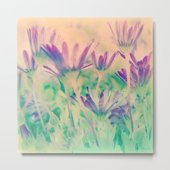 Dreamy Spring Lavender Daisy Flowers Metal Print