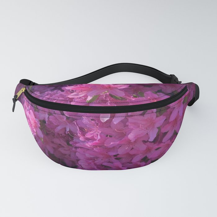 Misc Fanny Pack