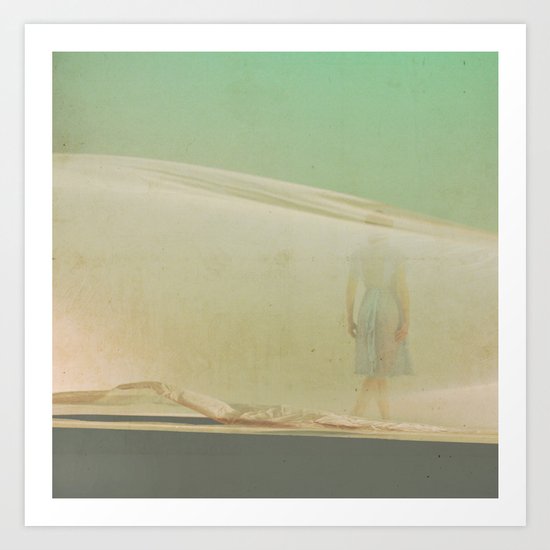 Voile de brûmes Art Print