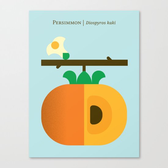 Fruit: Persimmon Canvas Print