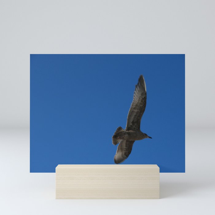 Flying Hawk Mini Art Print