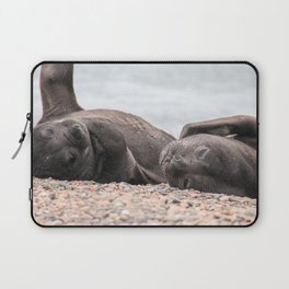 Argentina Photography - Southern Elephant Seals Laying On The Beach Laptop Sleeve
