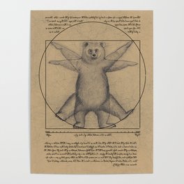 The Vitruvian Bear Poster