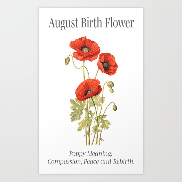 August birth month art print, Poppy Art Print