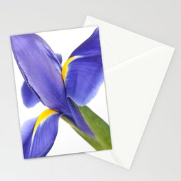 Blue Iris On White Background #decor #society6 #buyart Stationery Card