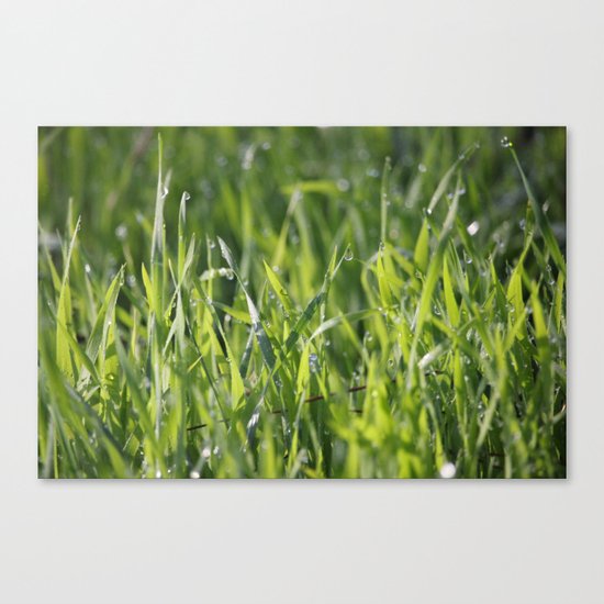 Tears From Heaven Canvas Print