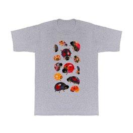 Lady beetles T Shirt