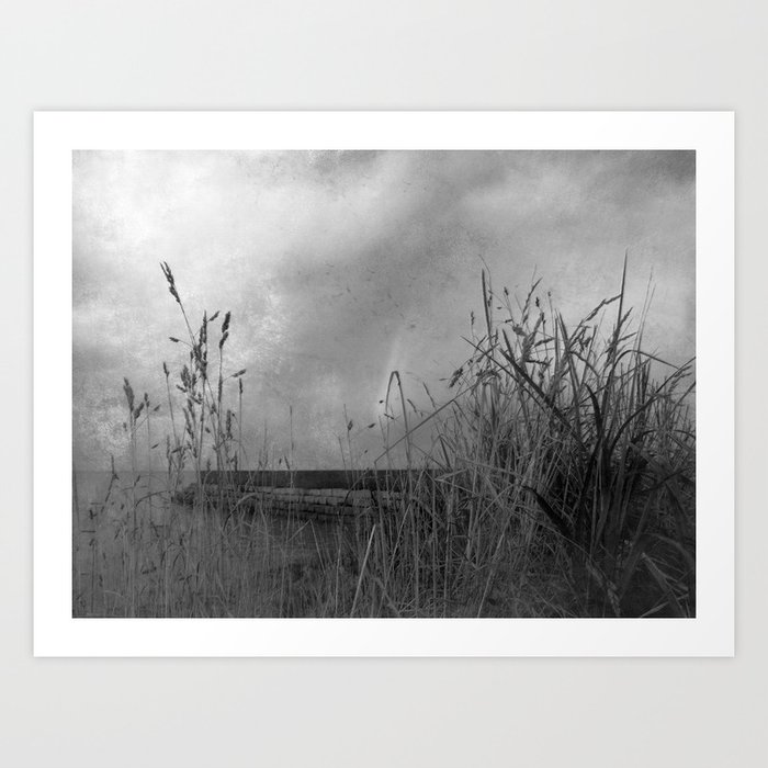 Tall Grass in the Morning Art Print