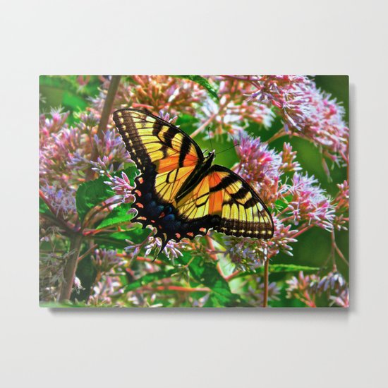 Spread Your Wings Metal Print
