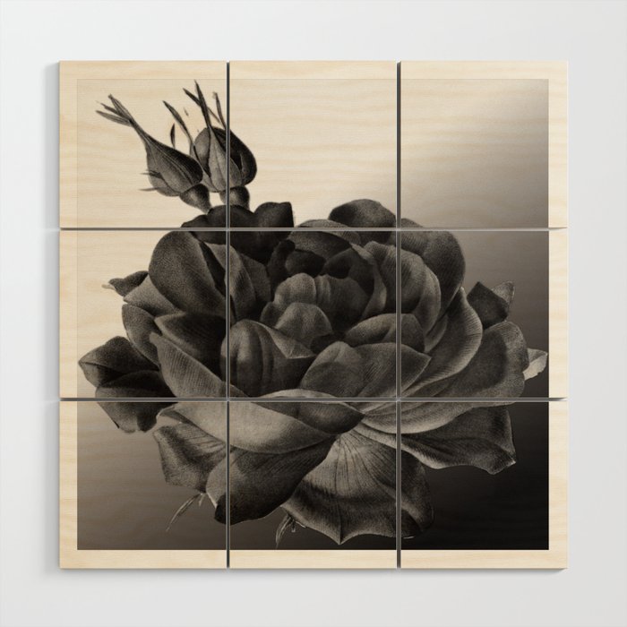 rose in black and white Wood Wall Art