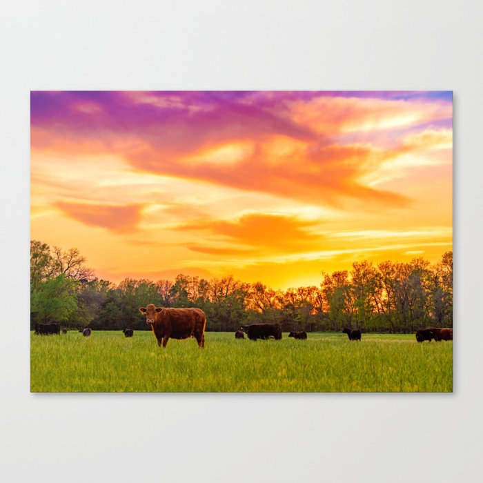 Sunset Herd 3 Canvas Print