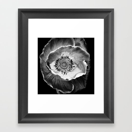 flower in black and white Framed Art Print