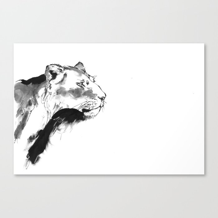 lioness Canvas Print
