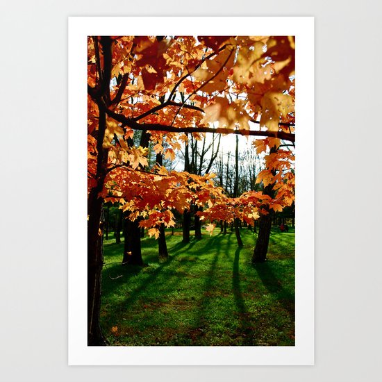 Orange fall Art Print