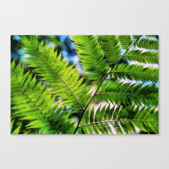 Fern Canvas Print