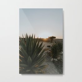 Desert Sunset | Agafay Desert Terre Dese Etoiles Morocco Metal Print | Sand, Travelphotography, Desertplant, Northafrica, Terredesetoiles, Reisefotografie, Plant, Fernweh, Summer, Wanderlust 
