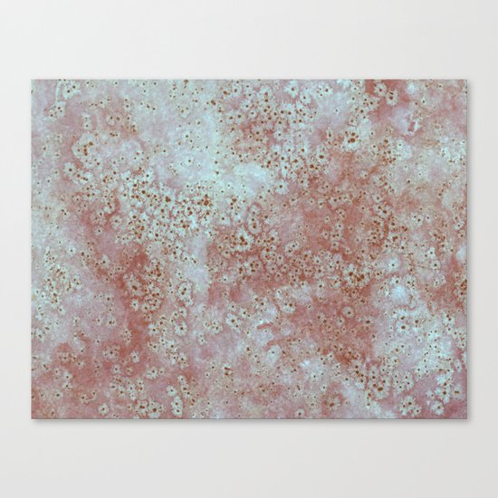 a grain of salt Canvas Print