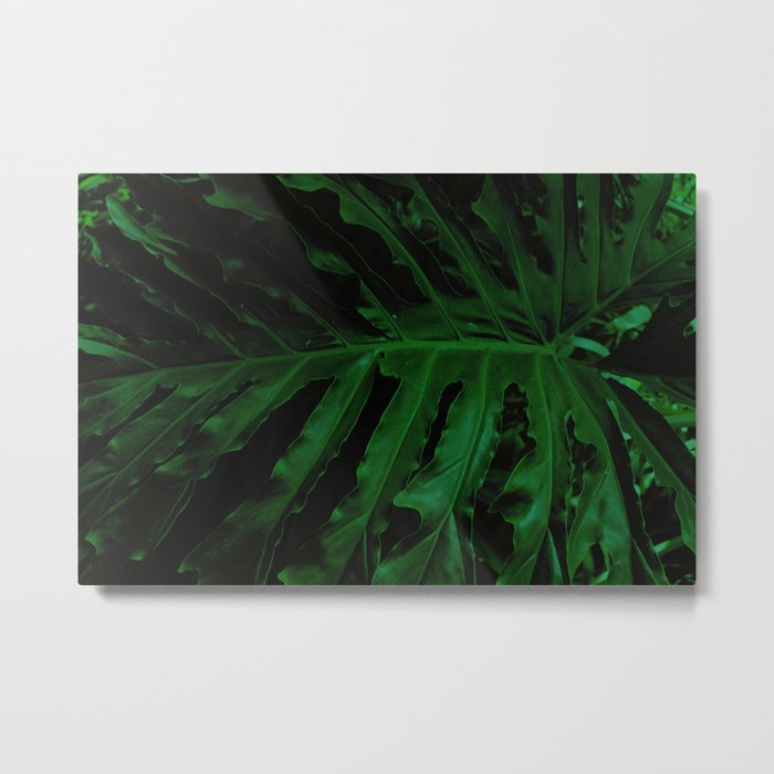 Green is the new black foliage photograhy no 3 Metal Print