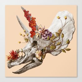 dinosaur skull Canvas Print