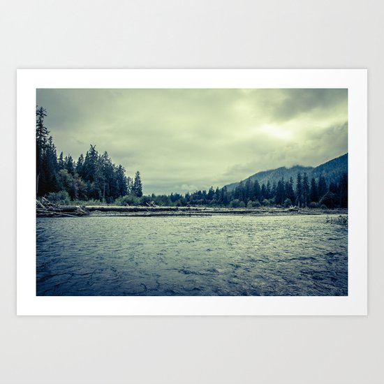 Hoh Rainforest Art Print
