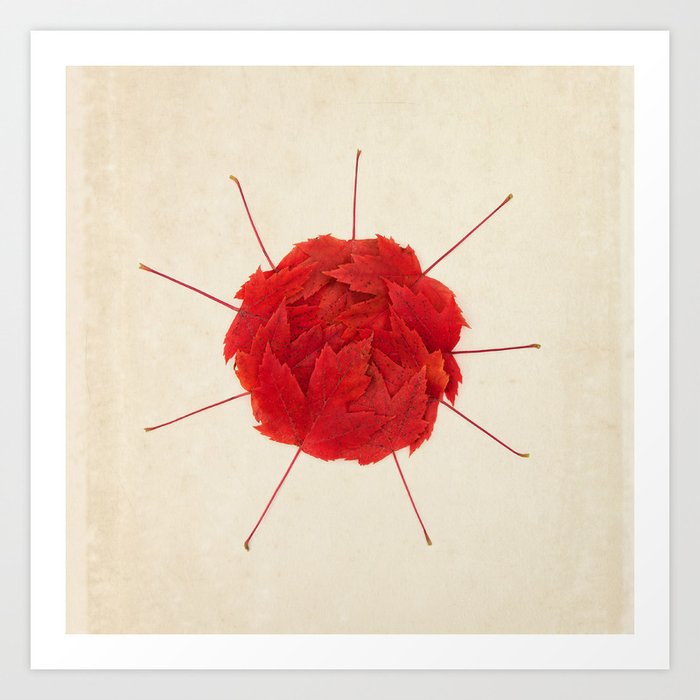 Red Maple Leaf Circle On Vintage Paper Art Print By Wildpoetry Society6