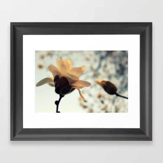 First Blush Framed Art Print