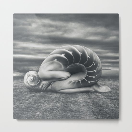 She shell Metal Print