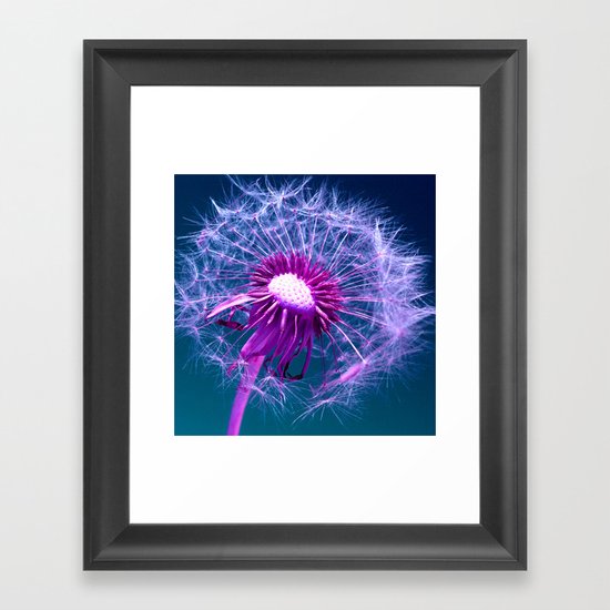 purple dandelion I Framed Art Print