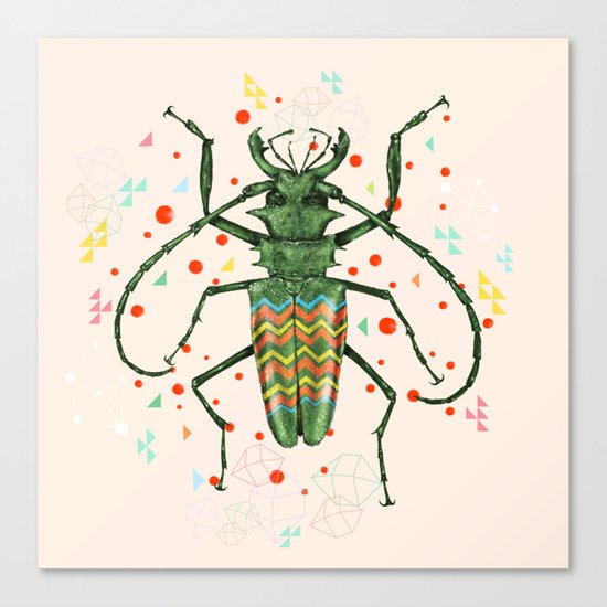 Insect V Canvas Print