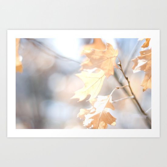 Abstract Oak Leaves Art Print