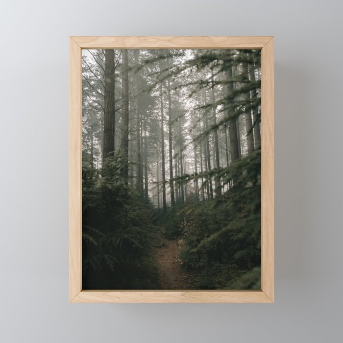 Misty Forest Framed Mini Art Print