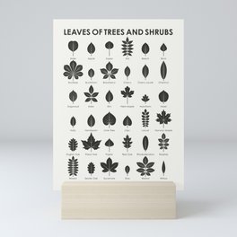 Leaves of Trees and Shrubs Identification ID Chart Mini Art Print