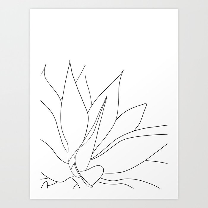 agave Kunstdrucke