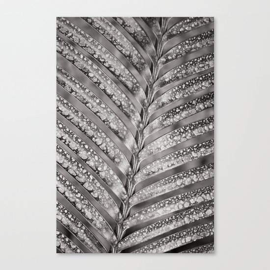 Secret Garden ~ No.4 Canvas Print