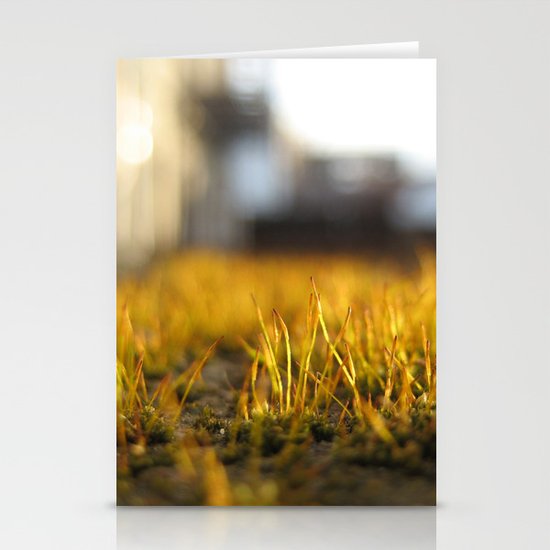 Brooklyn Moss Stationery Cards